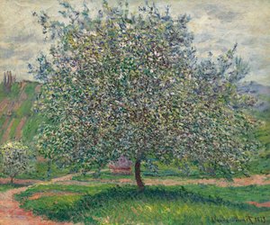 De appelboom